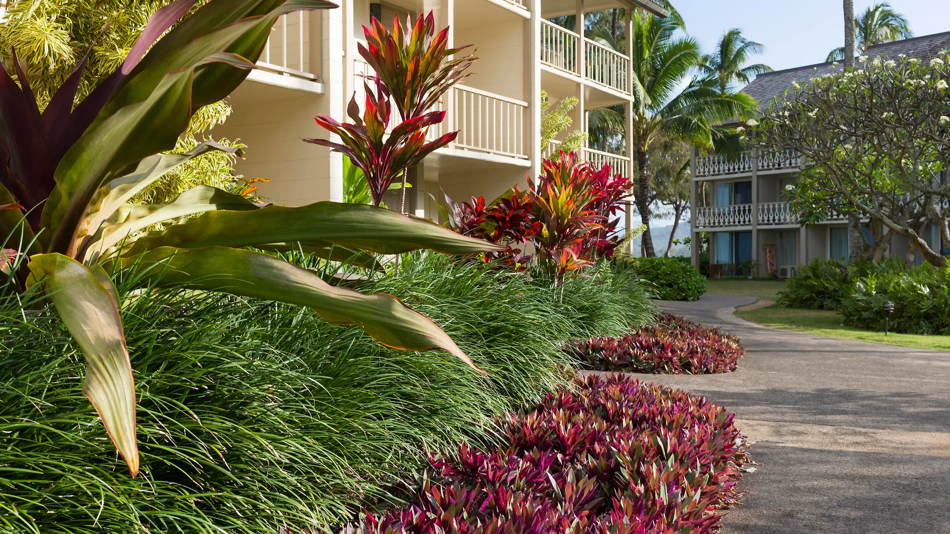 Aston Islander On The Beach Kapa'a Apart Otel